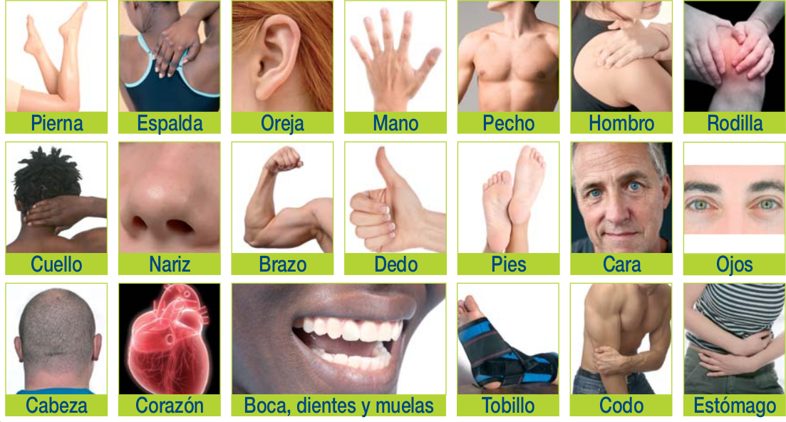 Diccionario visual Diccionario visual