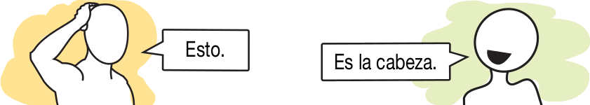 Partes del cuerpo Partes del cuerpo