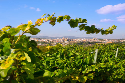 Requena
